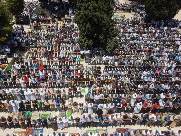 ما هي بنود قرار مجلس حقوق الإنسان حول فلسطين؟